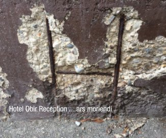 Hotel Obir Reception ... ars moriendi book cover