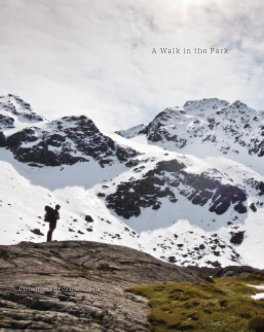 Walk in the Park book cover