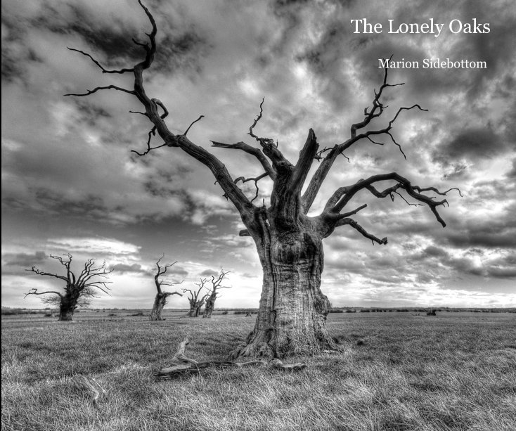 View The Lonely Oaks by Marion Sidebottom