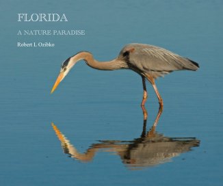 FLORIDA book cover