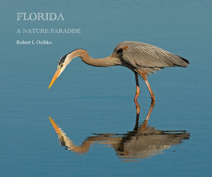 View FLORIDA by Robert L Ozibko