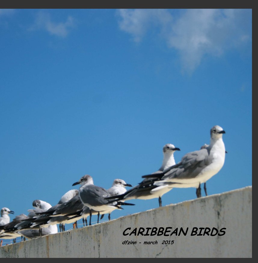 View Carabbean Birds by Dale F Zinn