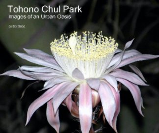 Tohono Chul Park book cover
