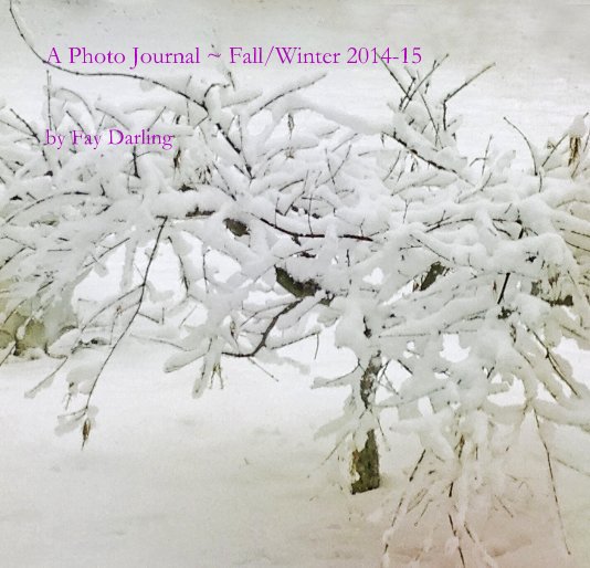 View A Photo Journal ~ Fall/Winter 2014-15 by Fay Darling