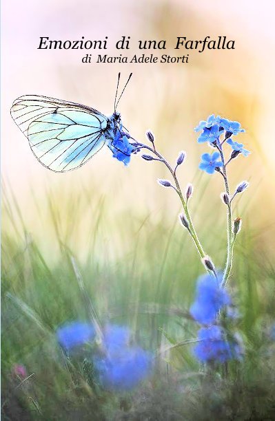 View Emozioni di una Farfalla by Maria Adele Storti