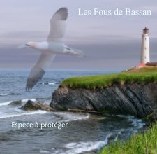 Les Fous de Bassan book cover