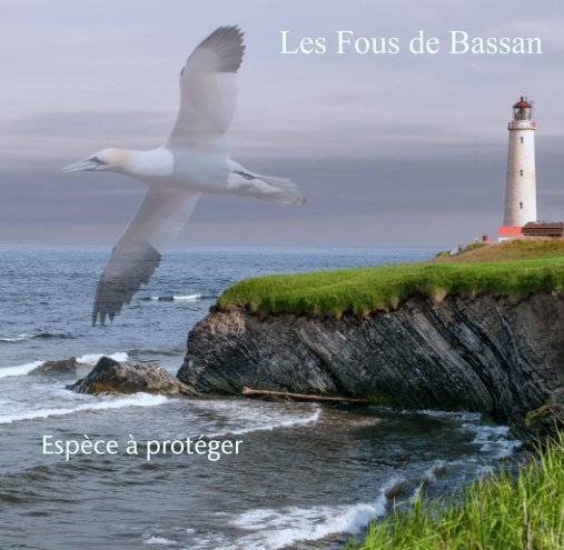 Ver Les Fous de Bassan por Jacques Taillefer