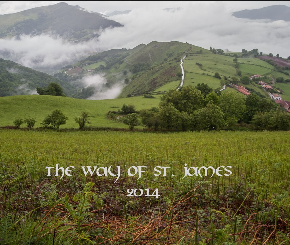 View The Way of St. James 2014 by Cynthia Moe-Crist
