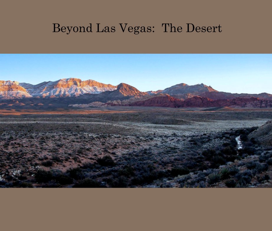 Ver Beyond Las Vegas:  The Desert por Danikelii