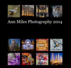 Ann Miles Photography 2014 book cover