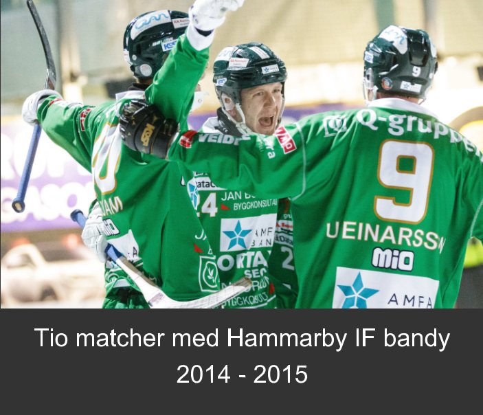 View Tio matcher med Hammarby IF bandy 2014 - 2015 by Göran Johansson