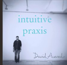 intuitive praxis book cover