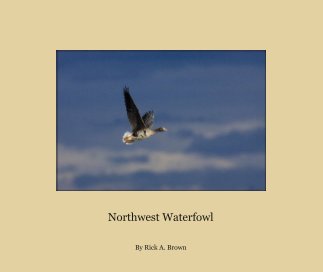 Northwest Waterfowl book cover