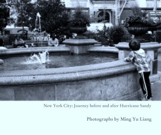 New York City: Journey before and after Hurricane Sandy book cover