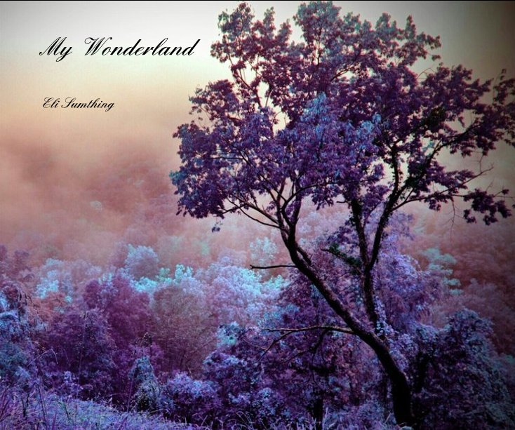 View My Wonderland by Eli Sumthing