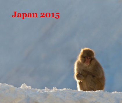 Japan 2015 book cover
