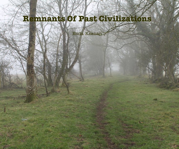 View Remnants Of Past Civilizations by Enda Keenan