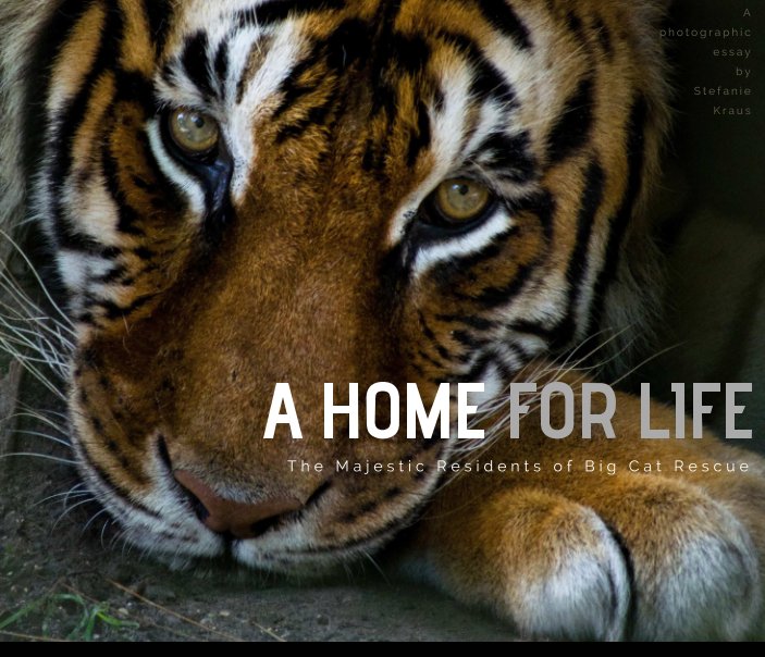 View A HOME FOR LIFE by Stefanie Kraus