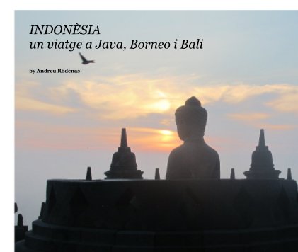 INDONÈSIA un viatge a Java, Borneo i Bali book cover