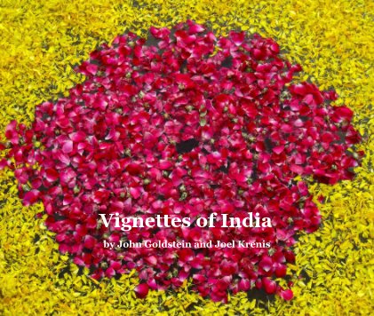 Vignettes of India (11 x 13 Version) book cover