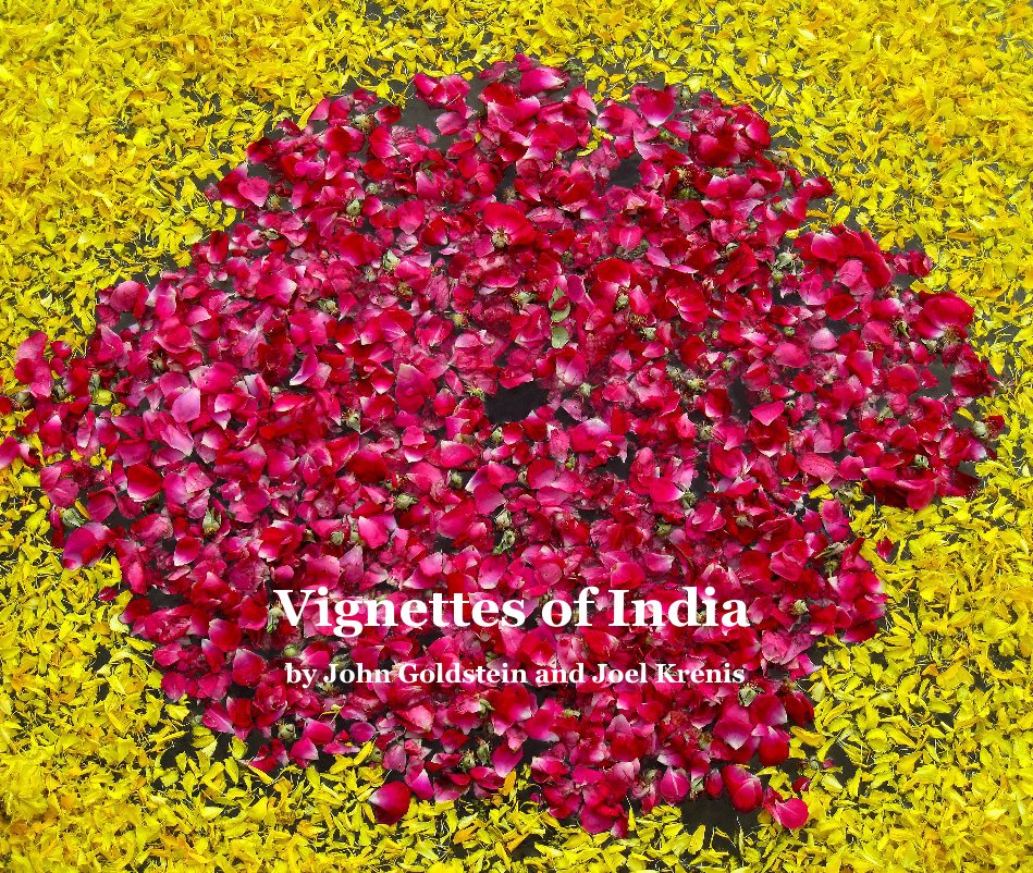 View Vignettes of India (11 x 13 Version) by John Goldstein and Joel Krenis