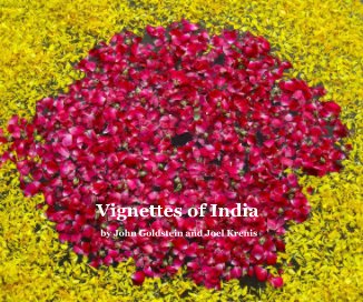 Vignettes of India (8 x 10 Version) book cover