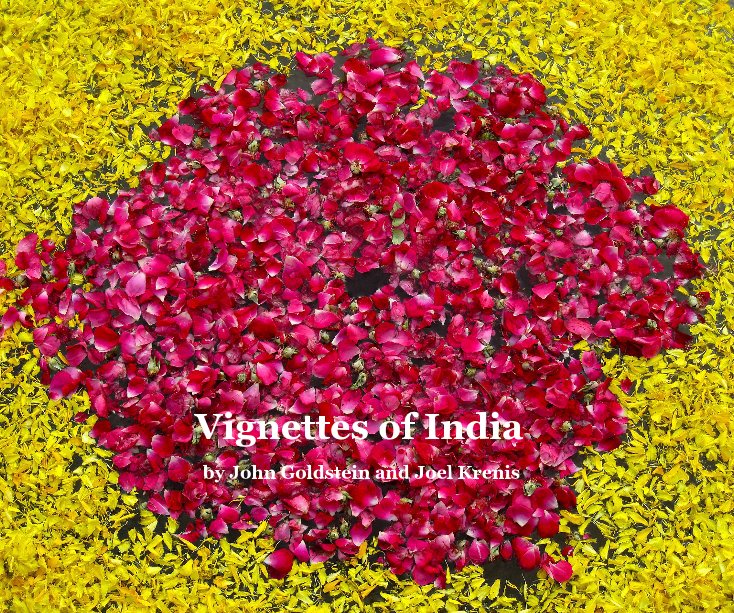View Vignettes of India (8 x 10 Version) by John Goldstein and Joel Krenis