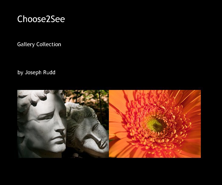 View Choose2See by Joseph Rudd