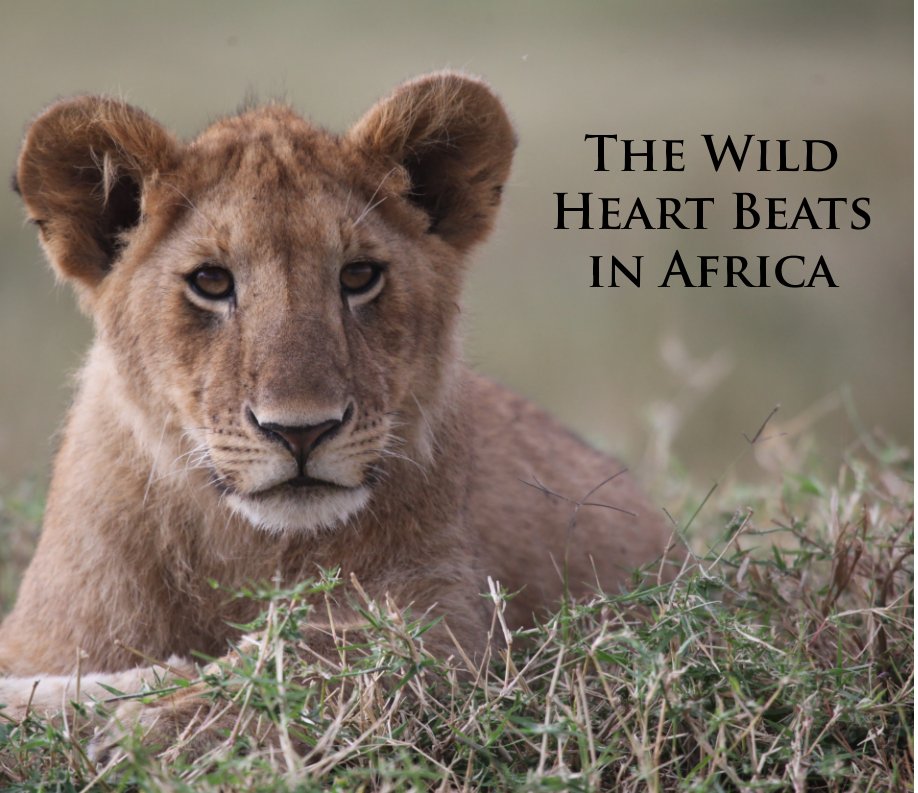View The Wild Heart Beats in Africa by Kelly Fogel