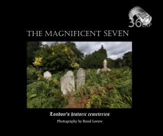The Magnificent Seven book cover