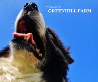 The Dogs of Greenhill Farm book cover