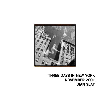 Three days in New York - November 2001 book cover
