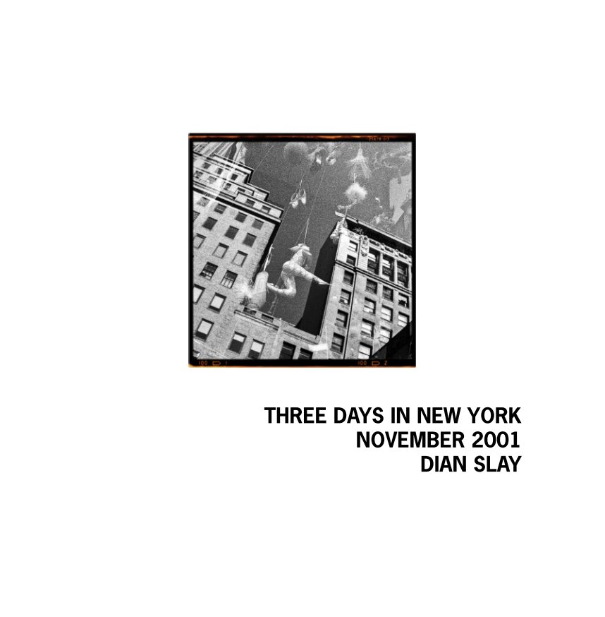 Visualizza Three days in New York - November 2001 di Dian Slay