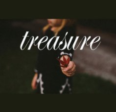 treasure book cover