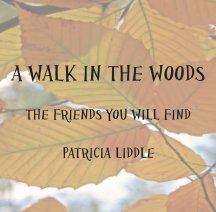 A WALK IN THE WOODS book cover
