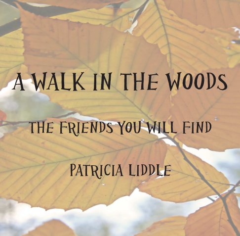 View A WALK IN THE WOODS by PATRICIA LIDDLE