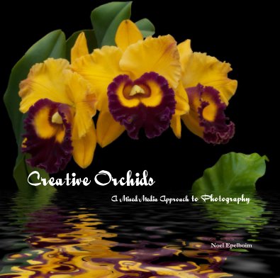 Creative Orchids A Mixed-Media Approach to Photography book cover