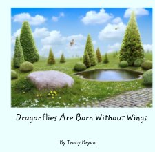 Dragonflies Are Born Without Wings book cover