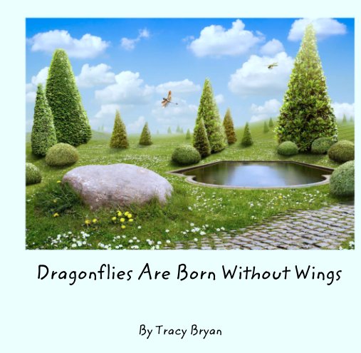 View Dragonflies Are Born Without Wings by Tracy Bryan