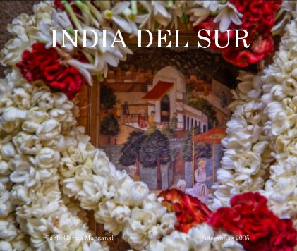 INDIA DEL SUR / SOUTH INDIA book cover