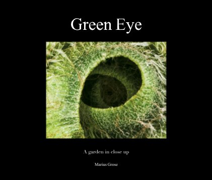 Green Eye book cover