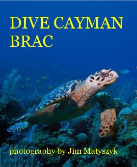 DIVE CAYMAN BRAC book cover