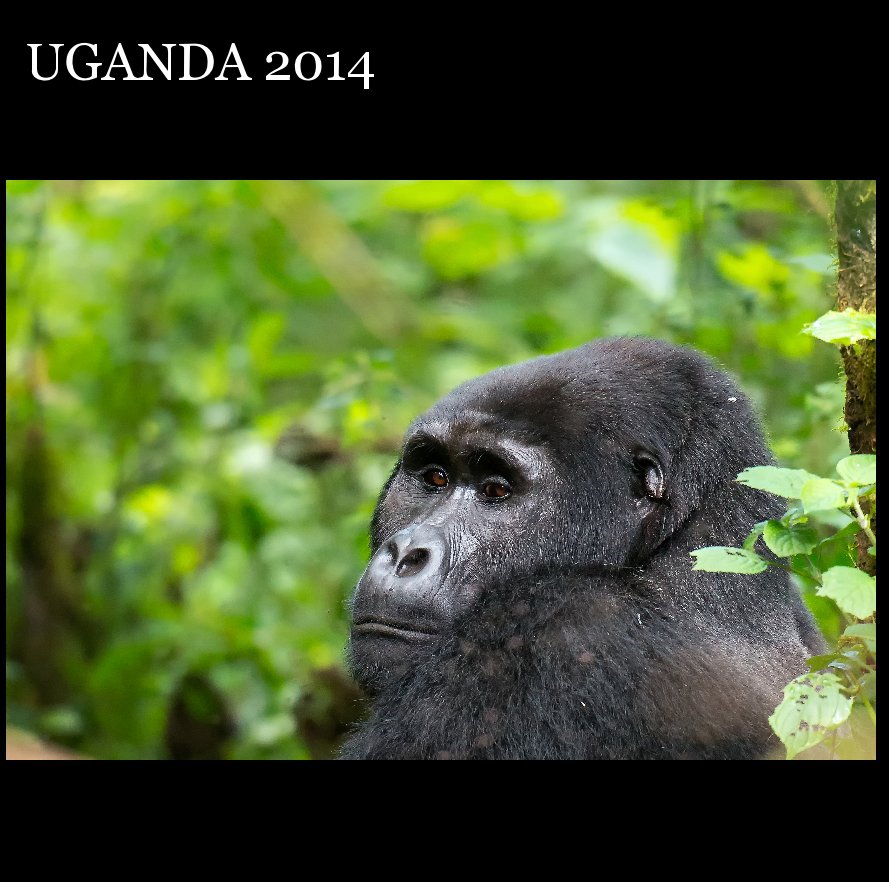 View UGANDA 2014 by Riccardo Caffarelli