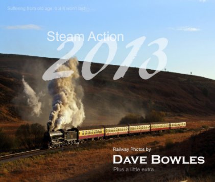 Steam Action 2013 book cover