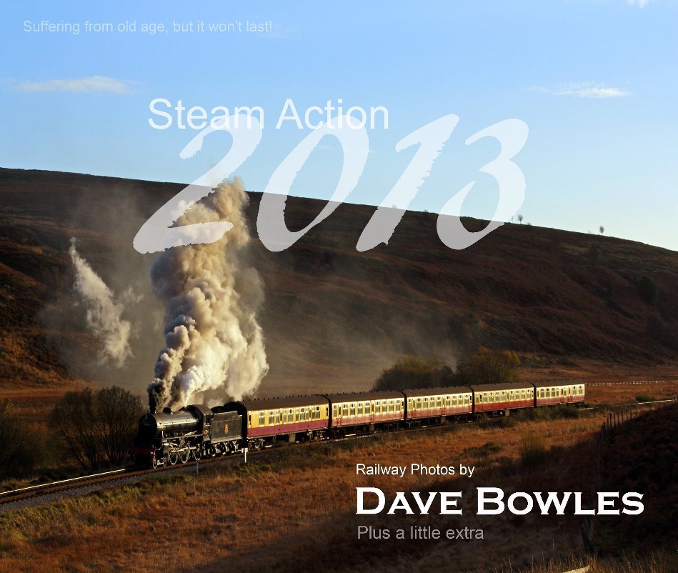 Visualizza Steam Action 2013 di Dave Bowles