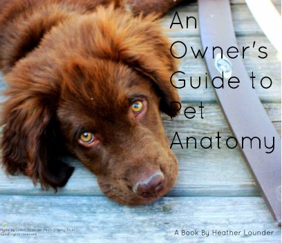 An Owner's Guide to Pet Anatomy book cover