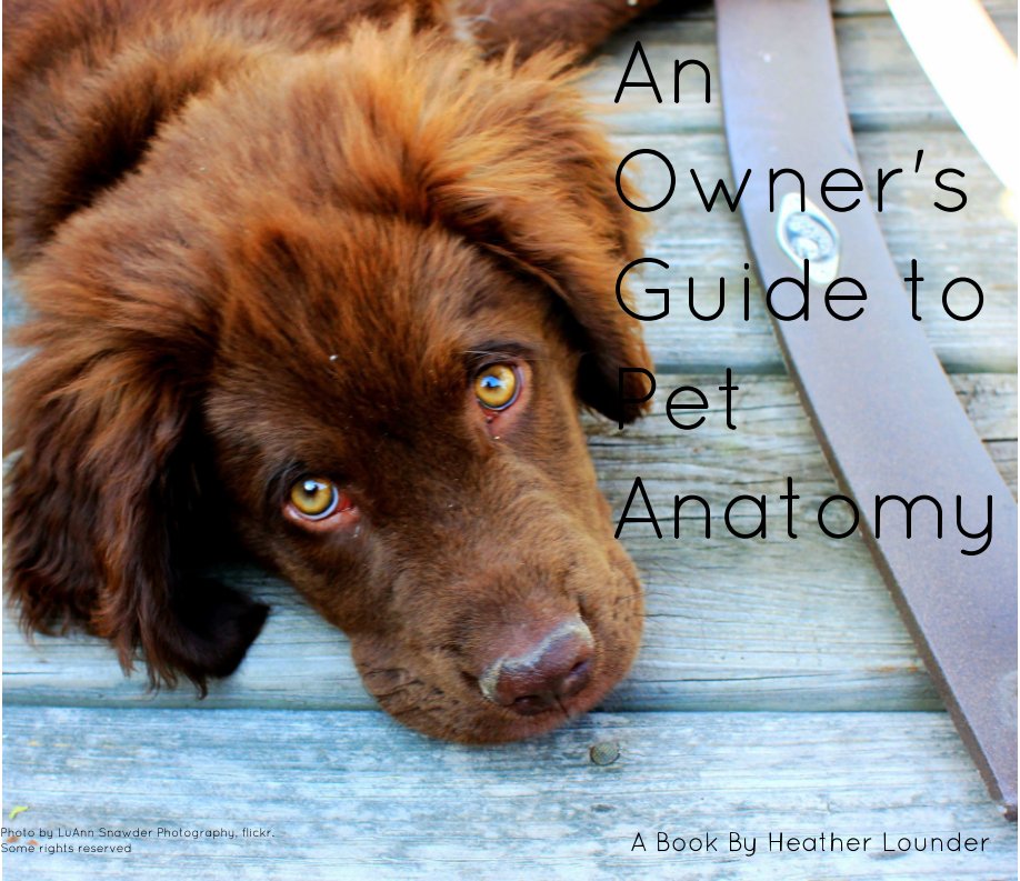 Bekijk An Owner's Guide to Pet Anatomy op Heather Lounder