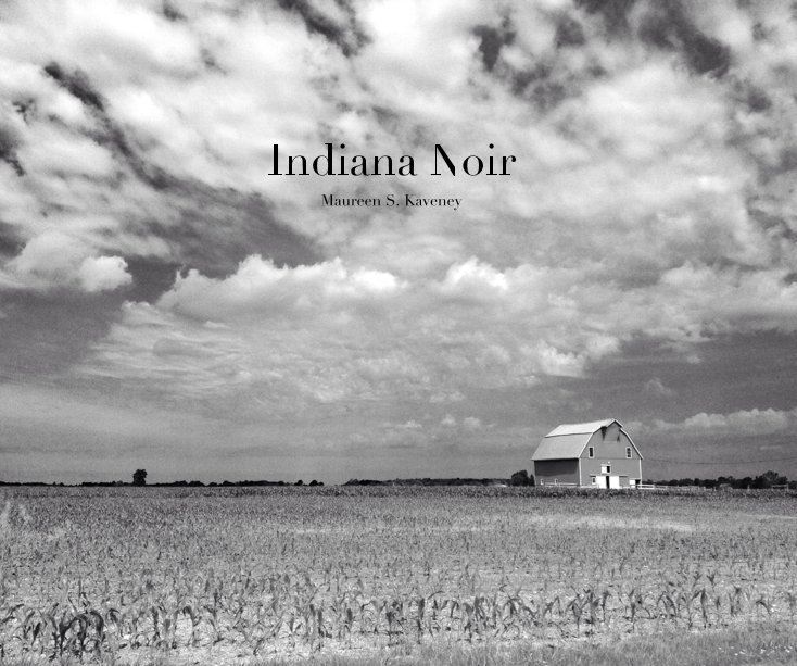 Ver Indiana Noir por Maureen S. Kaveney