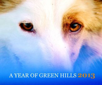 A Year of Green Hills 2013 book cover