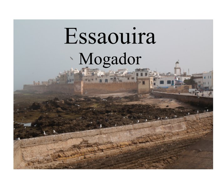 View Essaouira by Manfred Oeynhausen